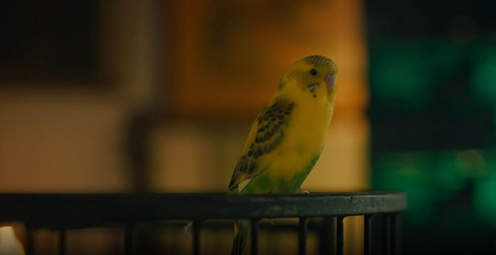 マミー・インサイドの画像