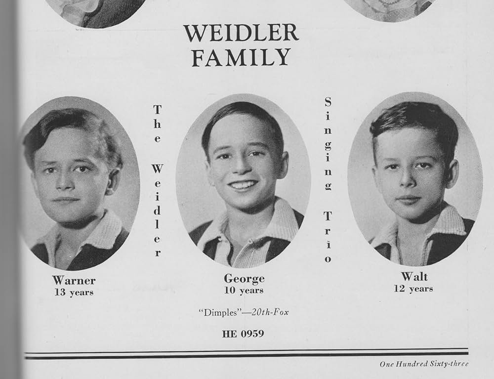 テムプルのえくぼの画像