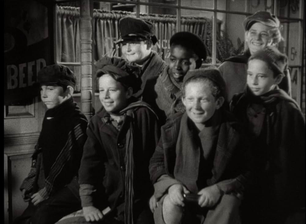 テムプルのえくぼの写真