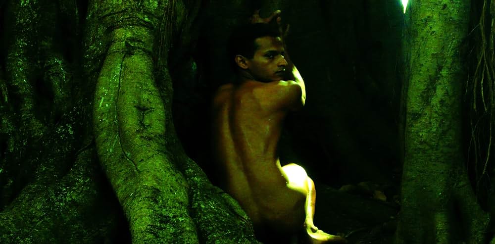 フライング・フィッシュの画像