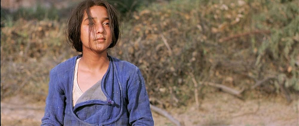 ザ・ウォーリアーの画像