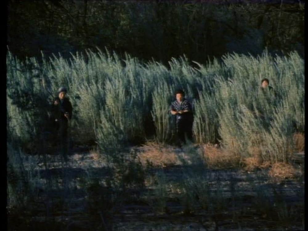 Hiroshima: Out of the Ashes（原題）の画像