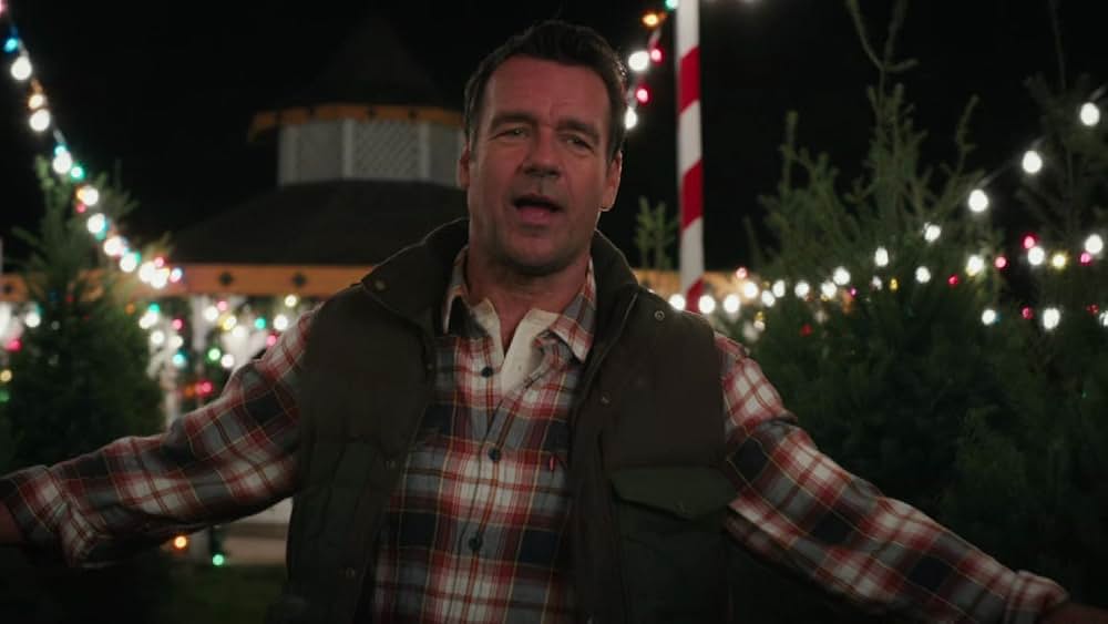 Zoey's Extraordinary Christmas（原題）の画像