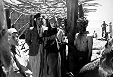 沙漠の花園の画像