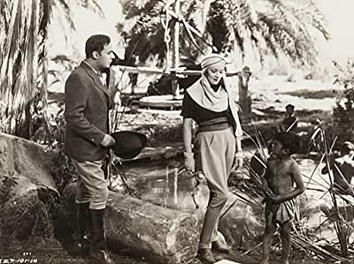 沙漠の花園の画像