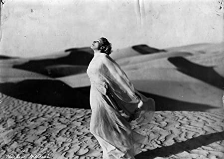 沙漠の花園の画像