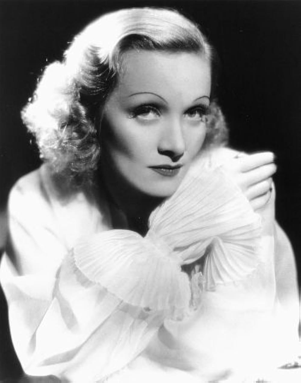 沙漠の花園の画像