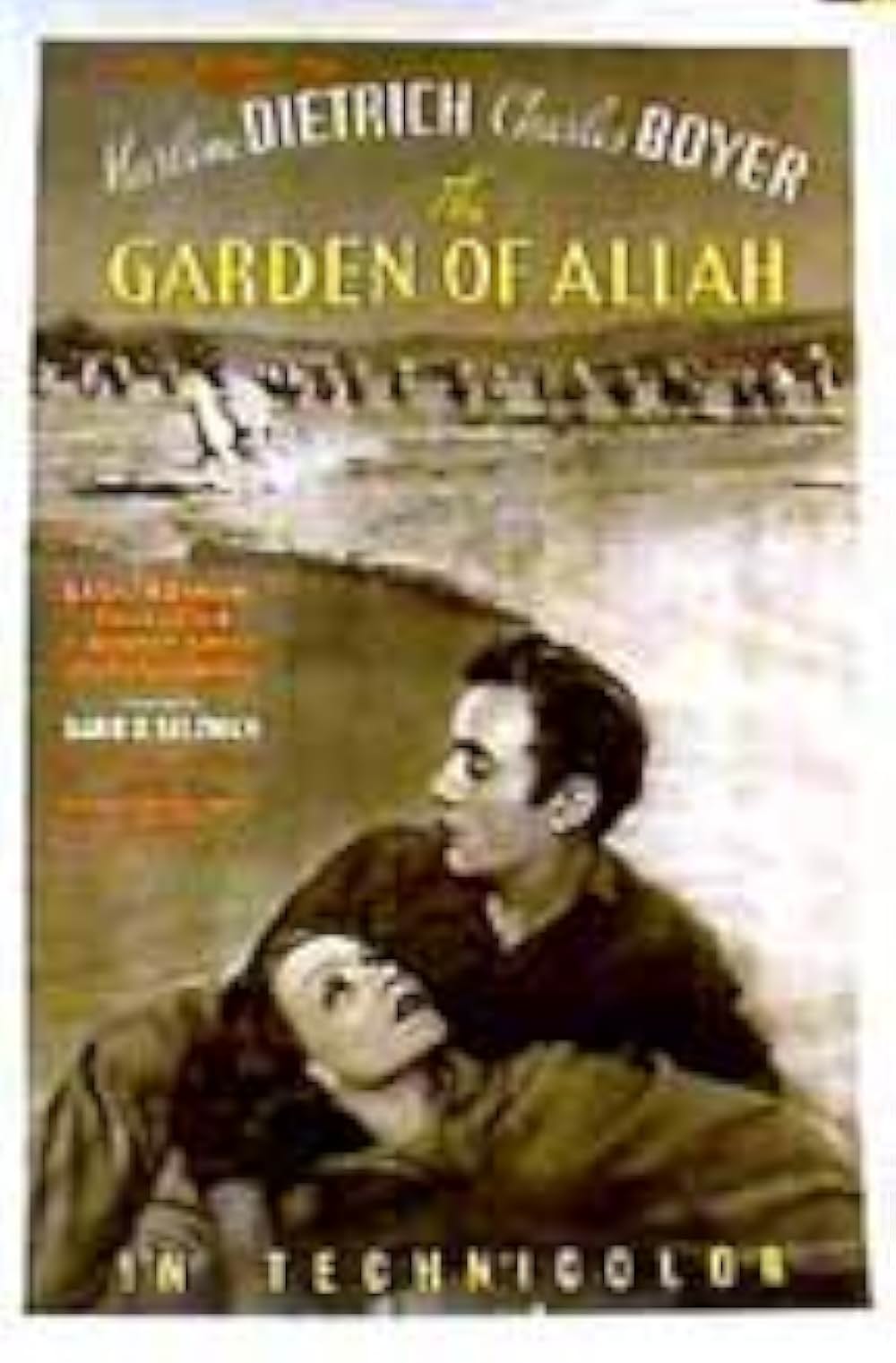 沙漠の花園の画像