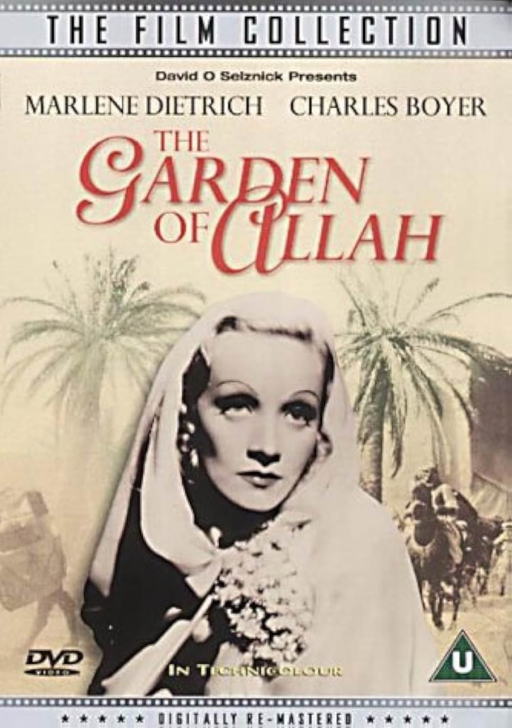 沙漠の花園の画像