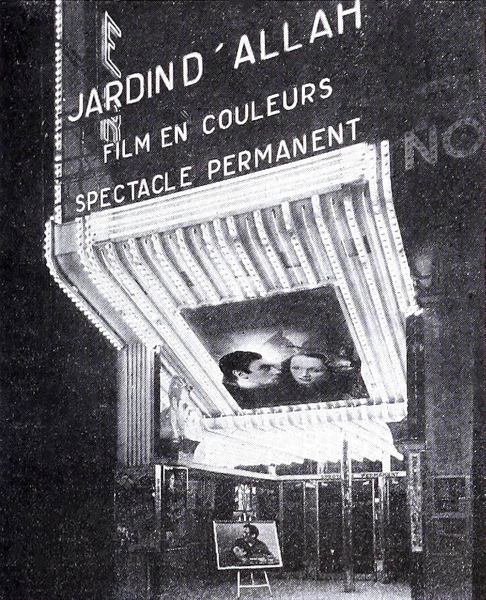 沙漠の花園の画像