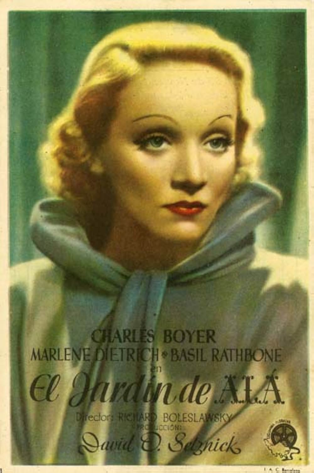 沙漠の花園の画像