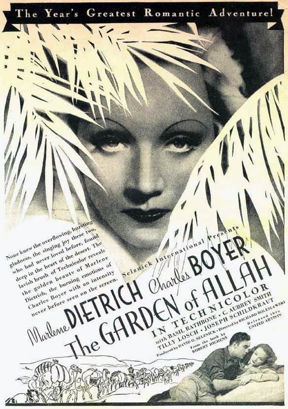 沙漠の花園の画像