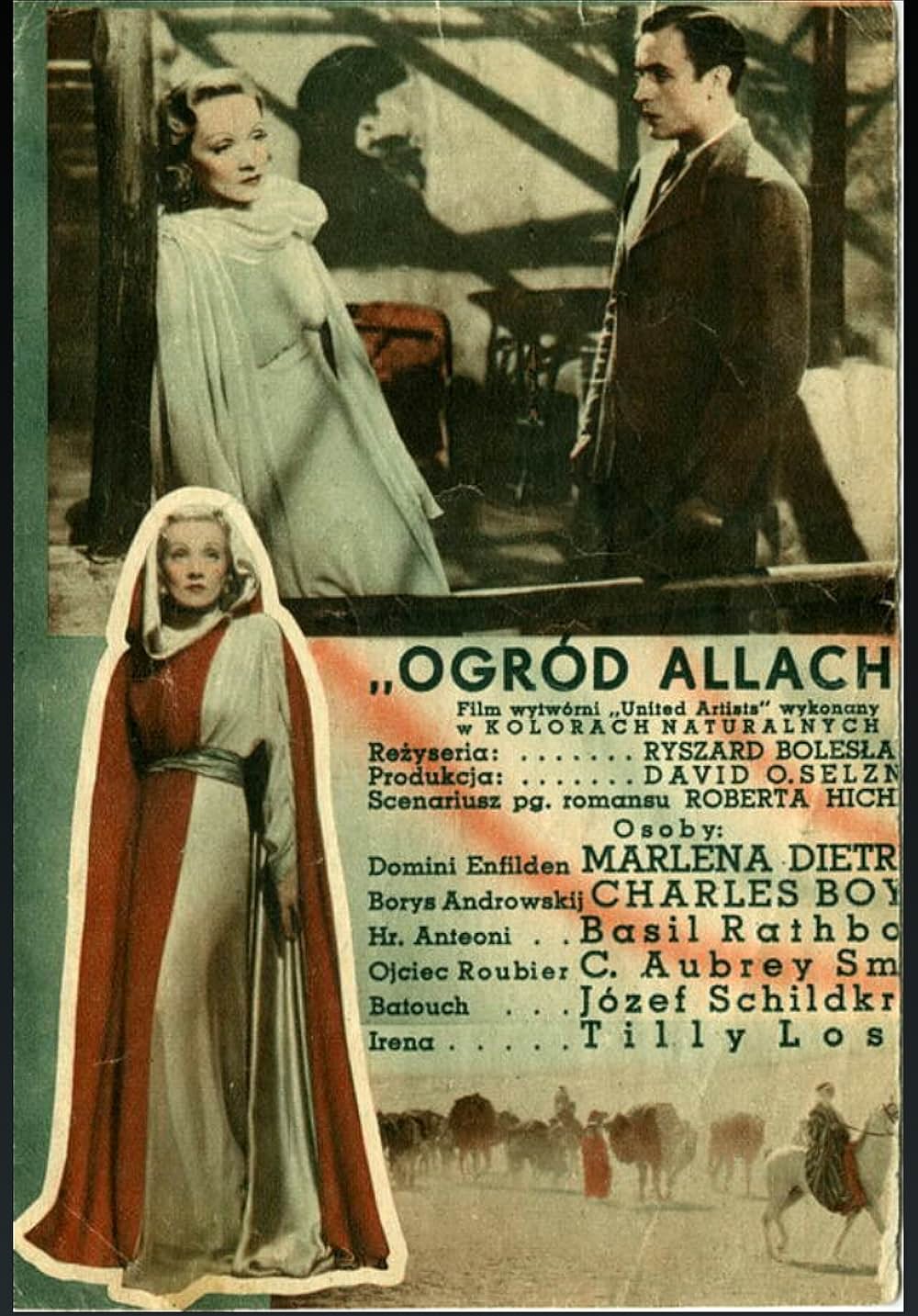 沙漠の花園の画像