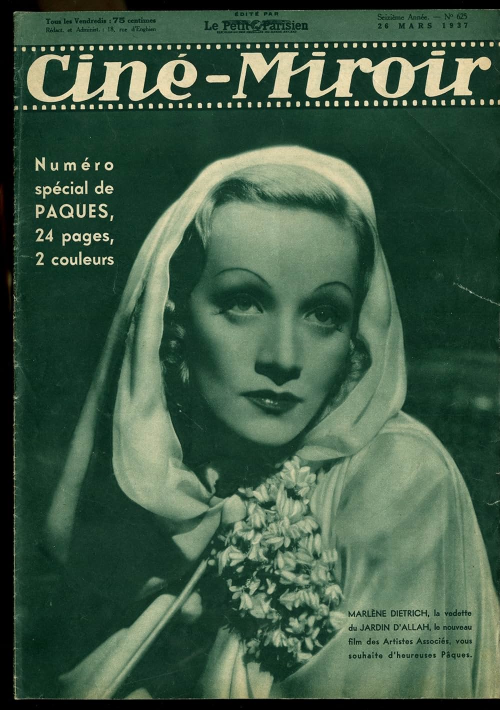 沙漠の花園の画像