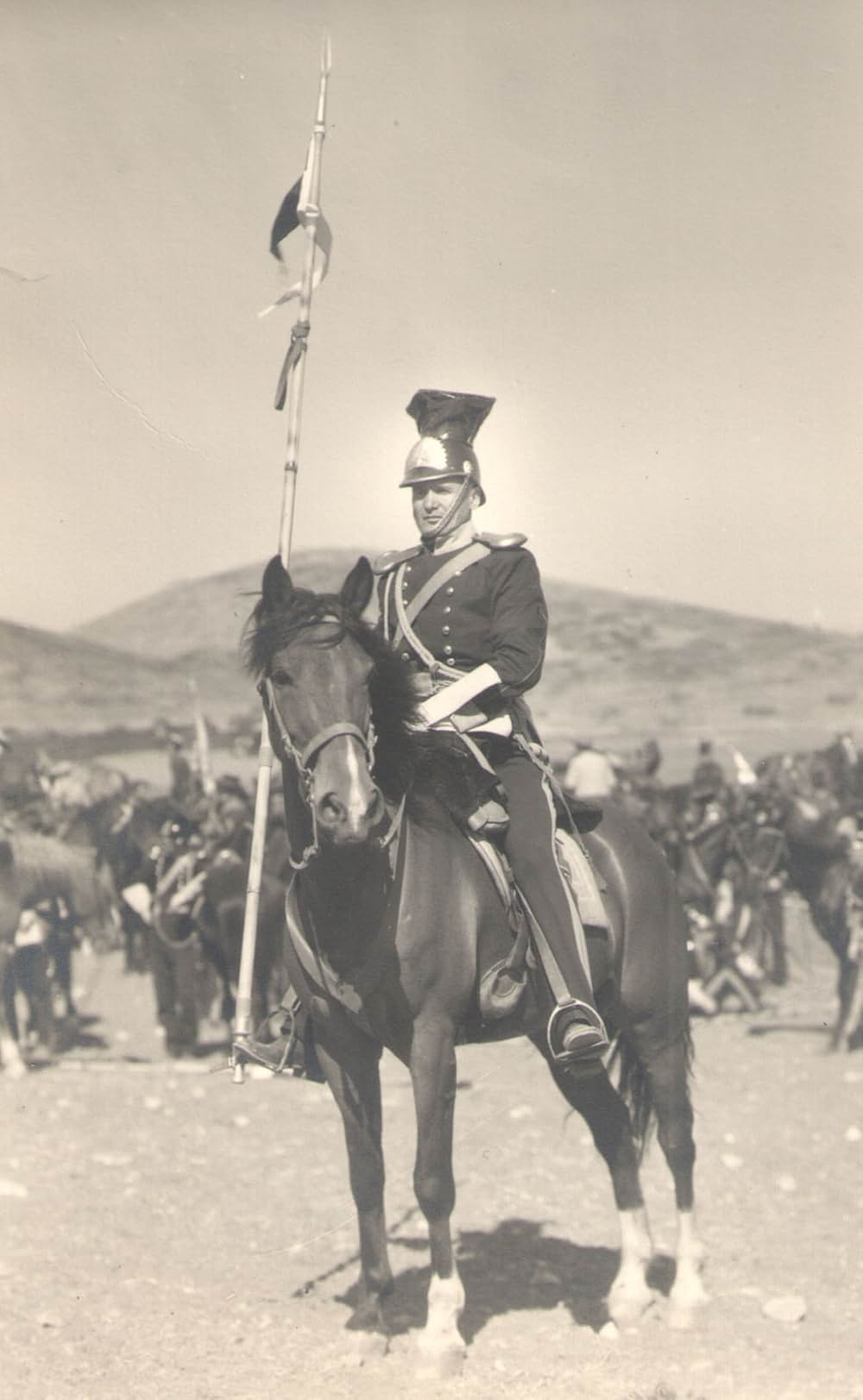 進め龍騎兵の画像