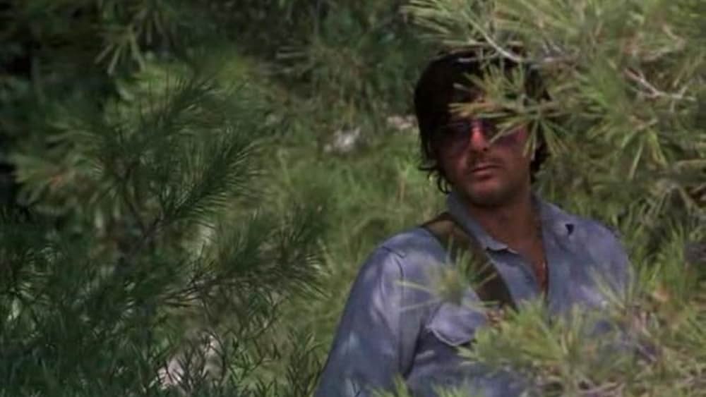 ナイトヒートの画像