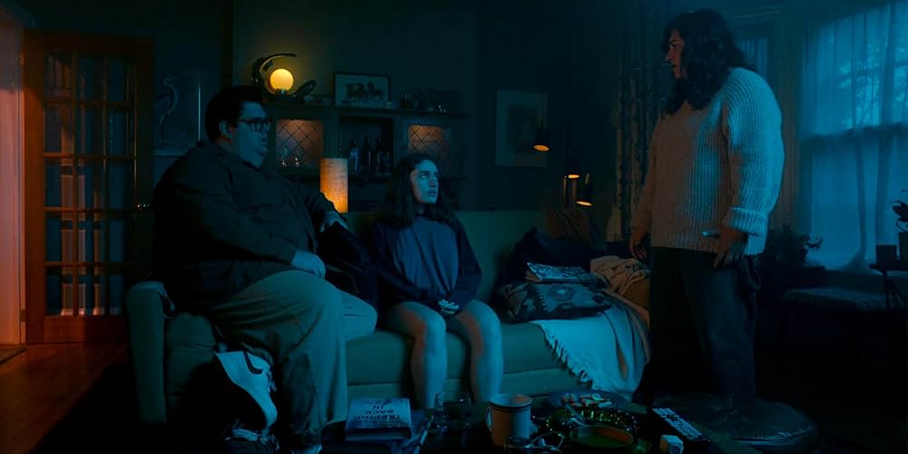 I Used to Be Funny（原題）の画像