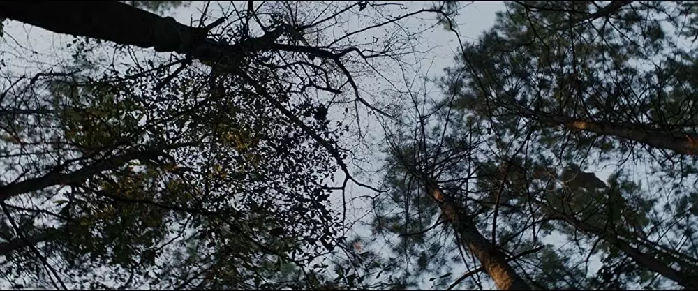 フィフス・ウェイブの画像