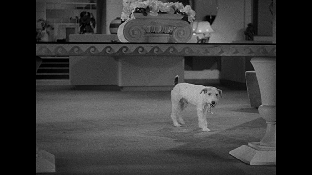 夕陽特急の画像