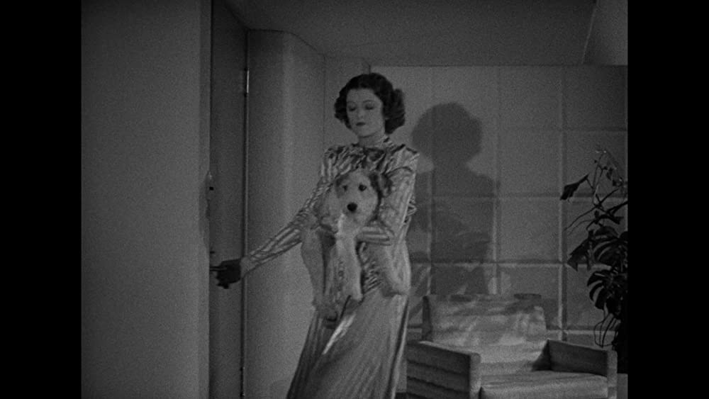 夕陽特急の画像