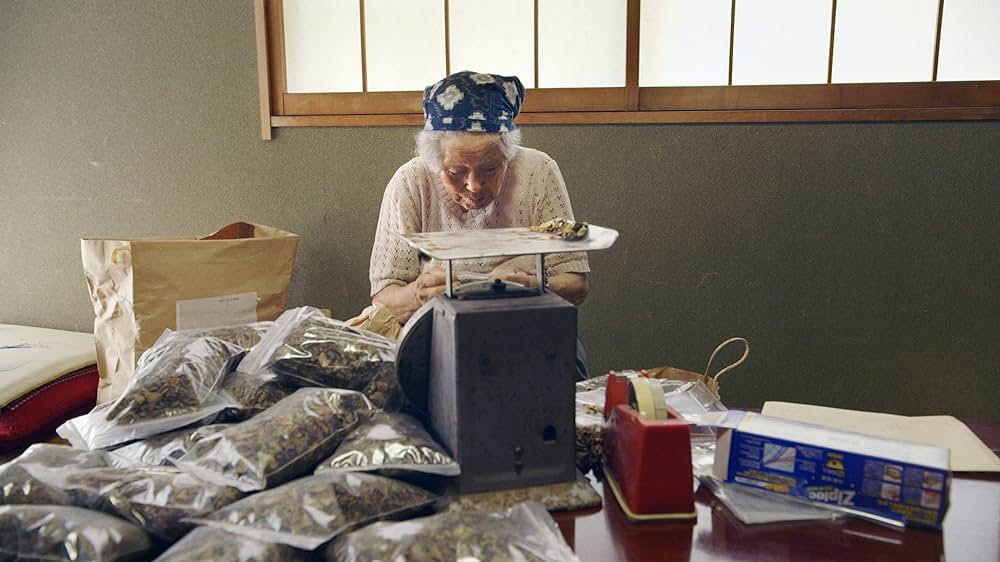 太陽が落ちた日の画像