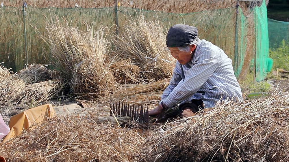 太陽が落ちた日の画像