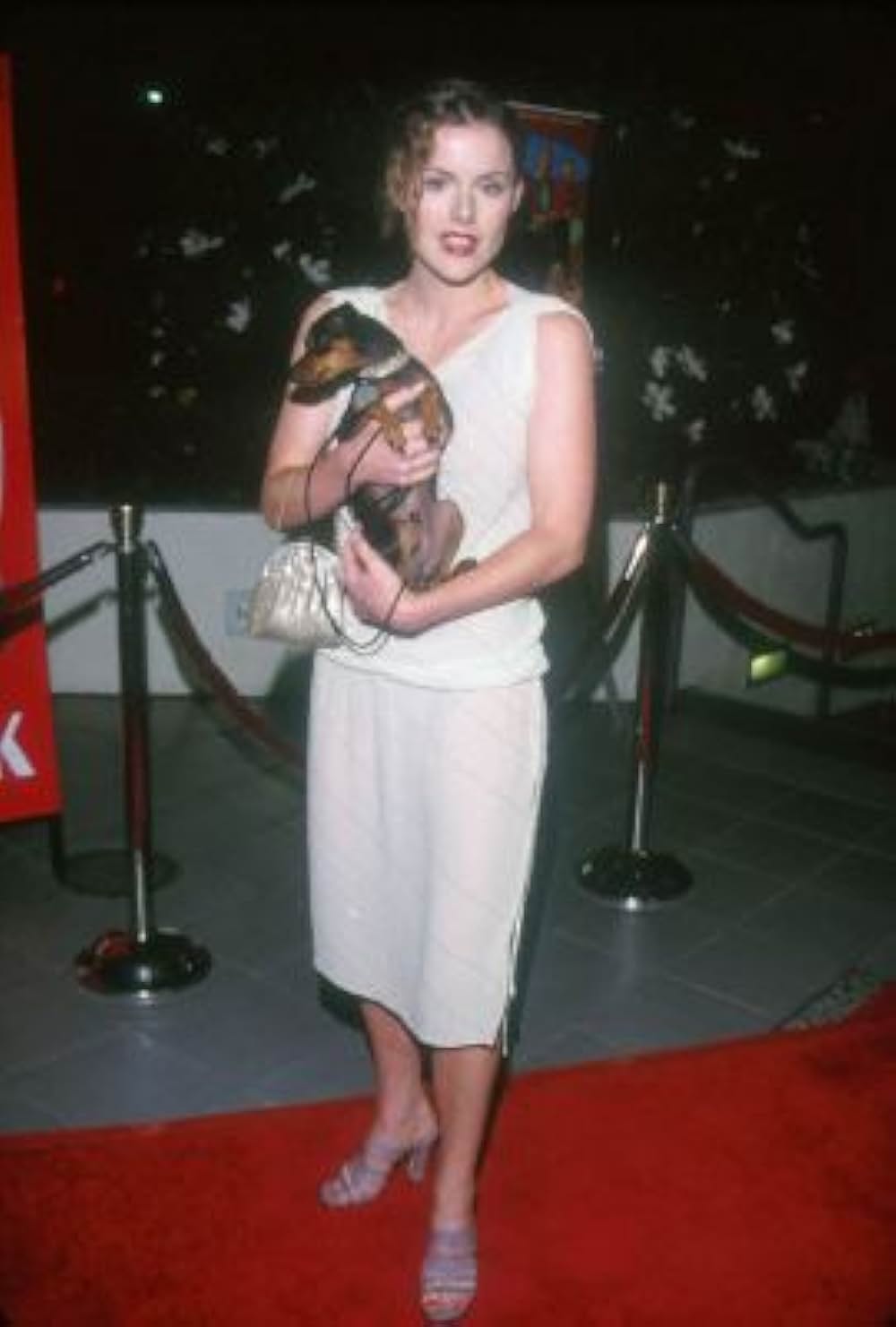 ドッグ・パークの画像