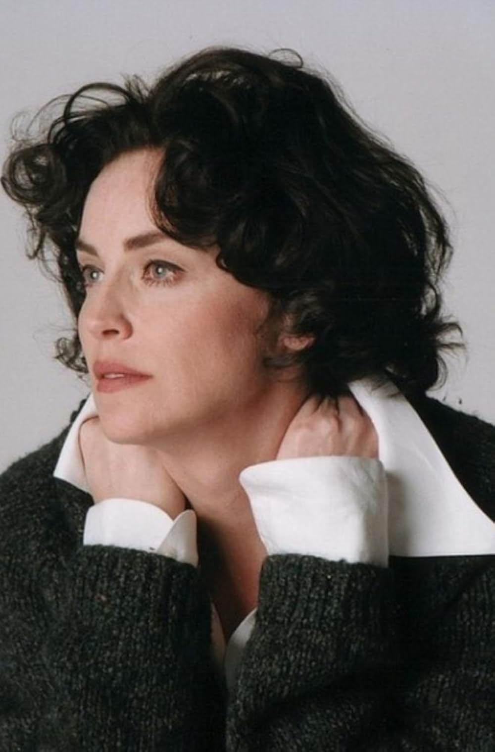 シャロン・ストーン in シークレット・スパイの画像