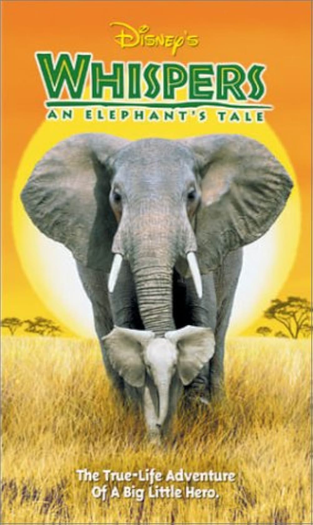 子象物語の画像