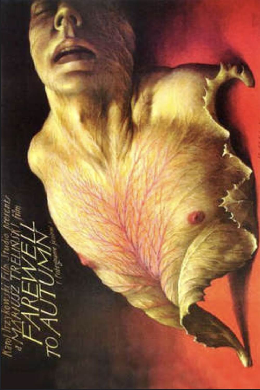 秋への別れの画像