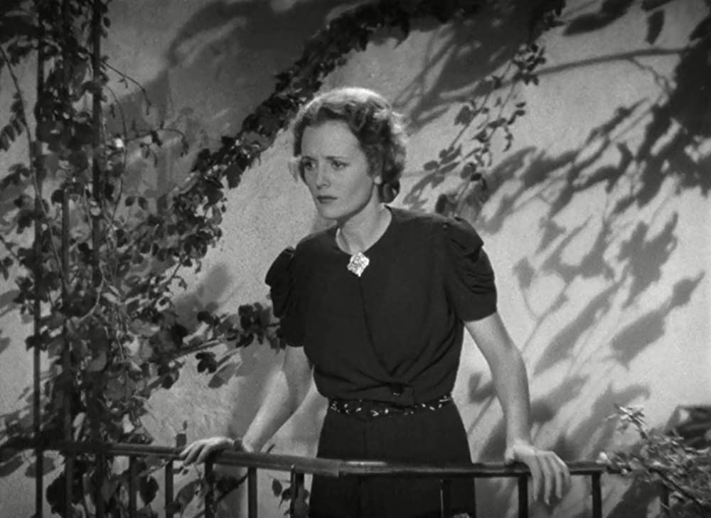 孔雀夫人の画像