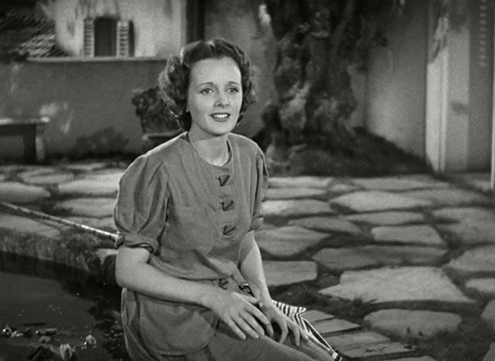 孔雀夫人の画像