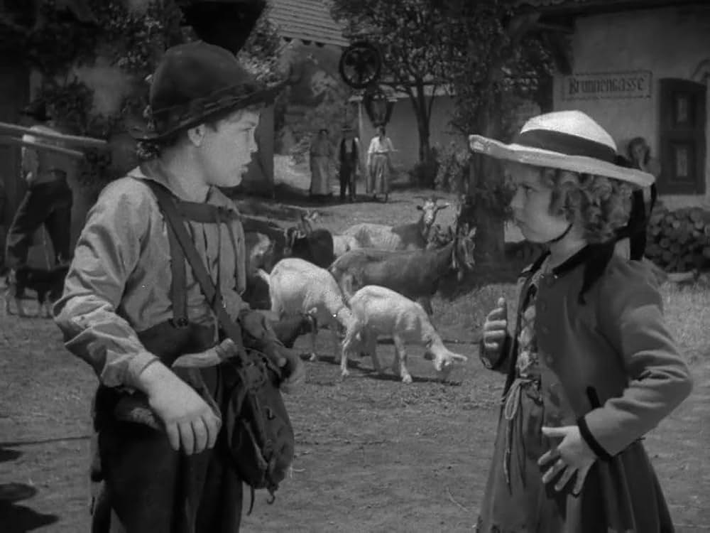 ハイデイの画像