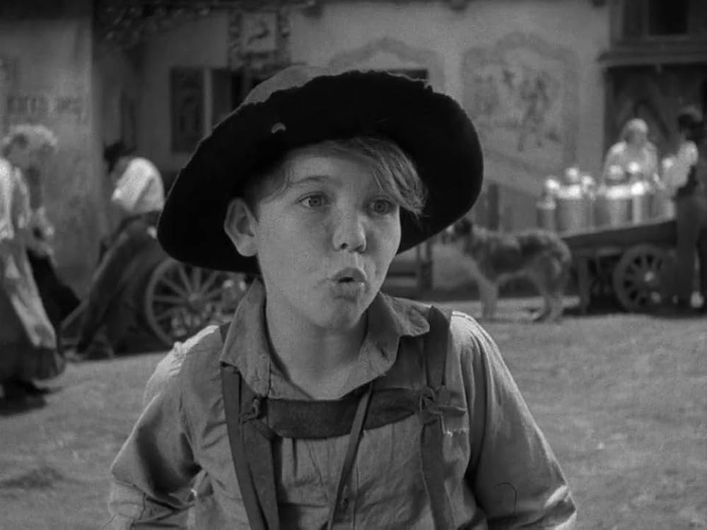 ハイデイの画像