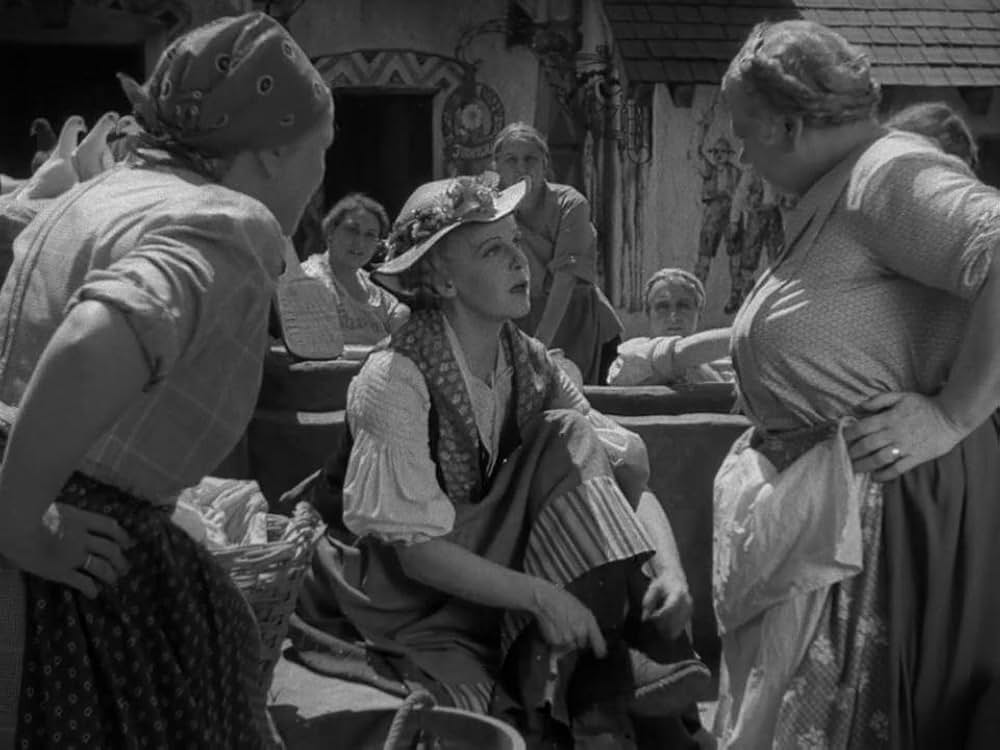 ハイデイの画像