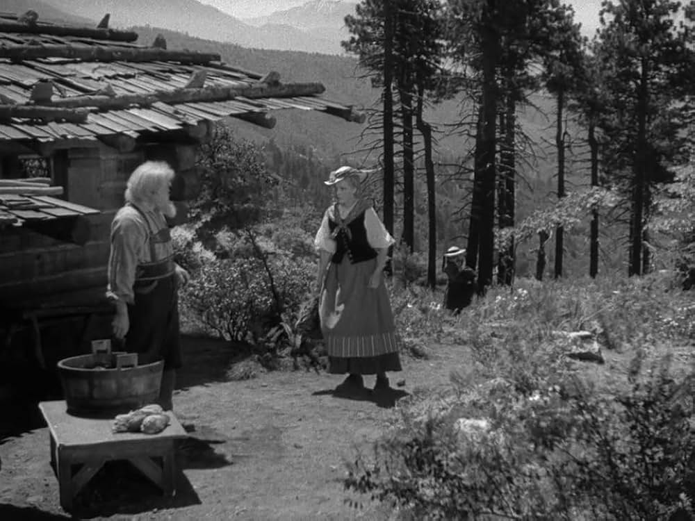 ハイデイの画像