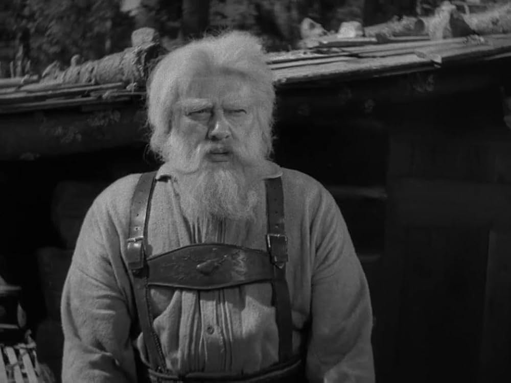 ハイデイの画像