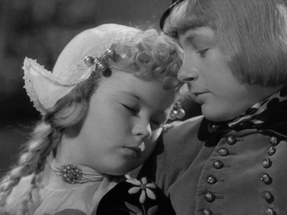 ハイデイの画像