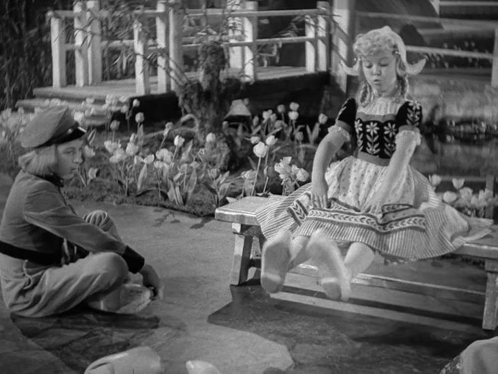 ハイデイの画像