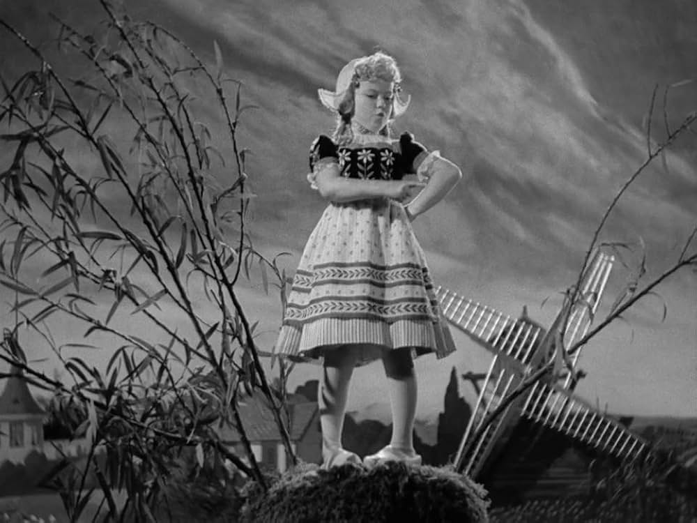 ハイデイの画像