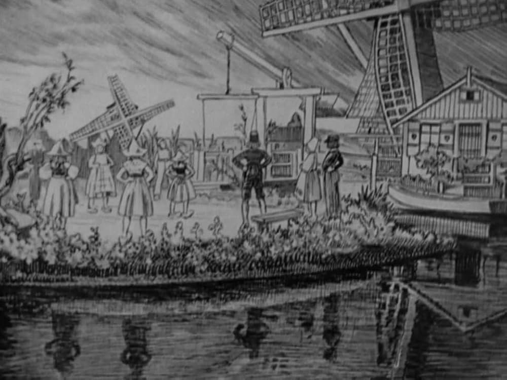 ハイデイの画像