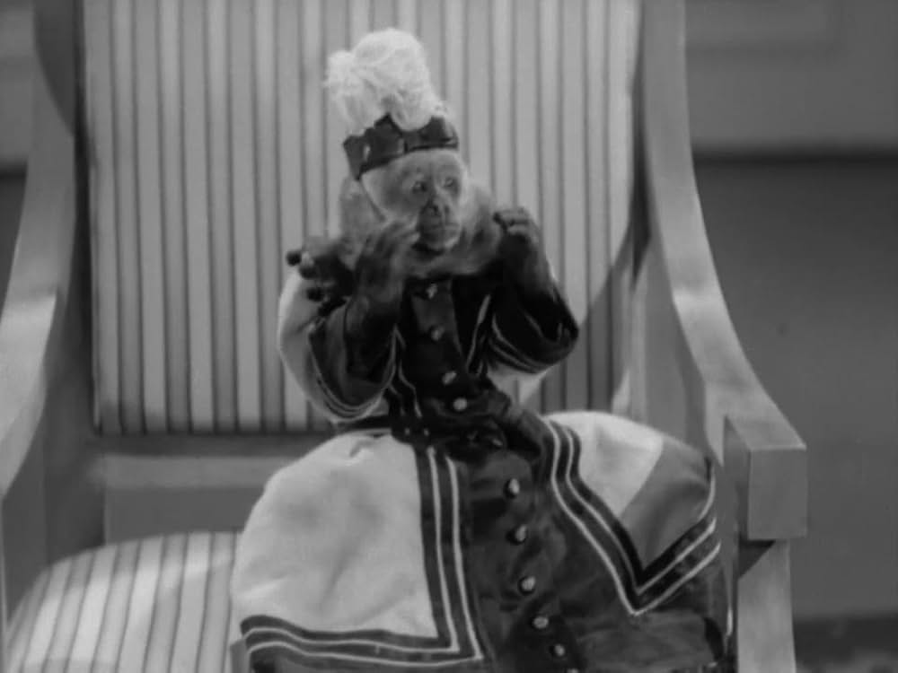 ハイデイの画像