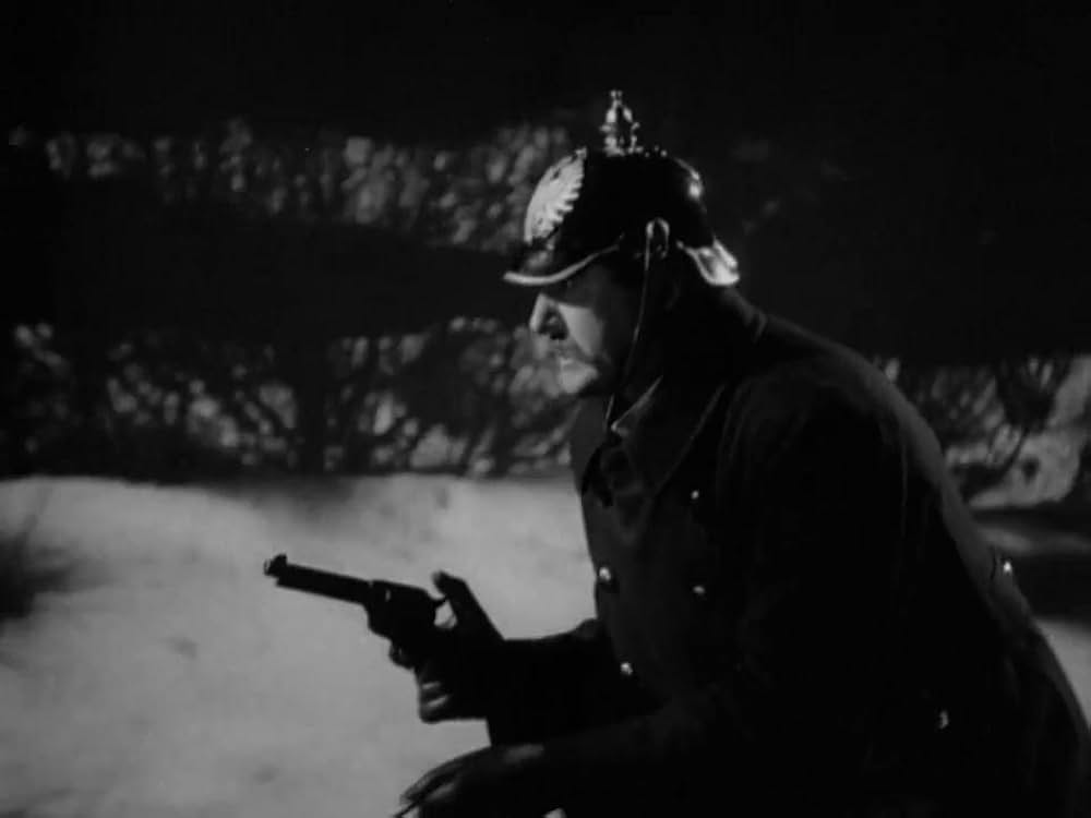 ハイデイの画像