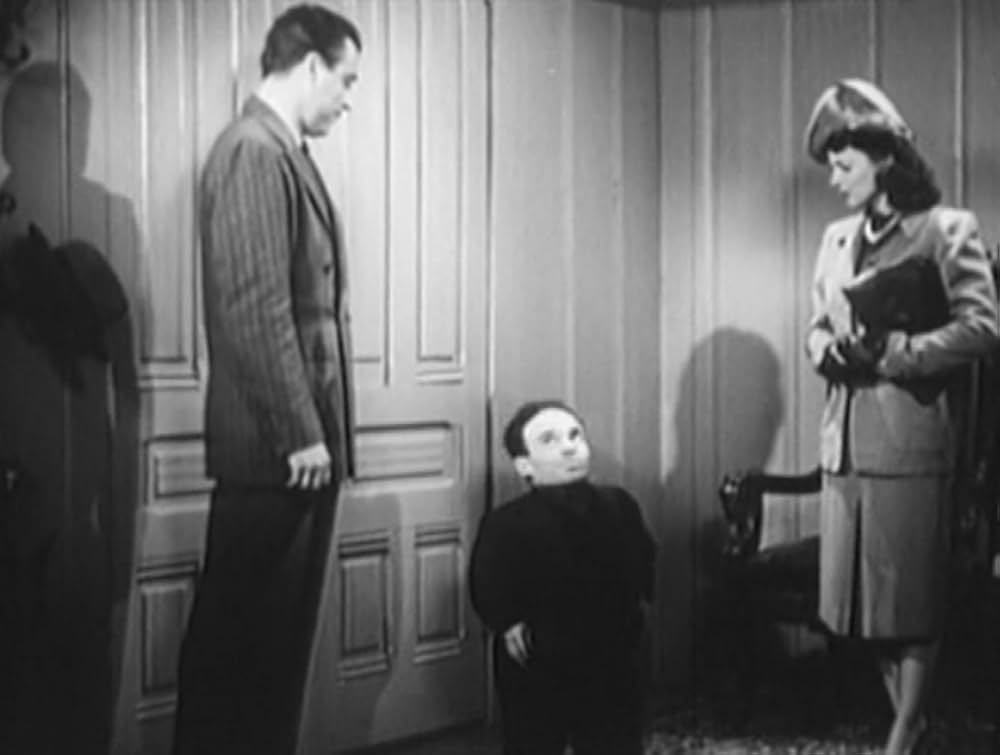 消える死体の画像