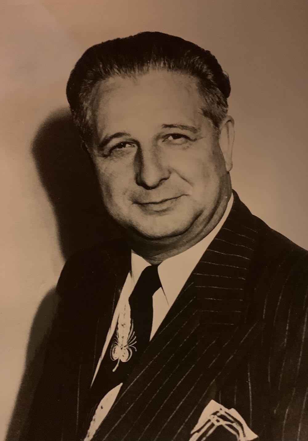 風雲児アドヴァースの画像