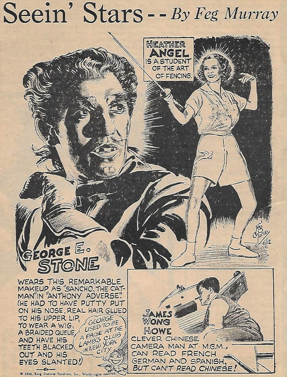 風雲児アドヴァースの画像