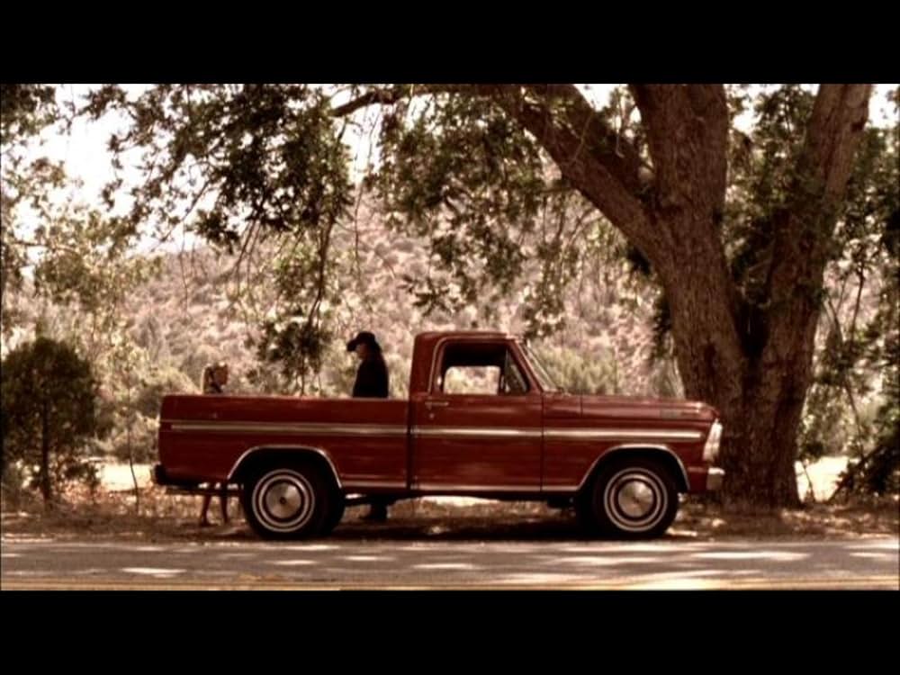 ゾンビパークの画像