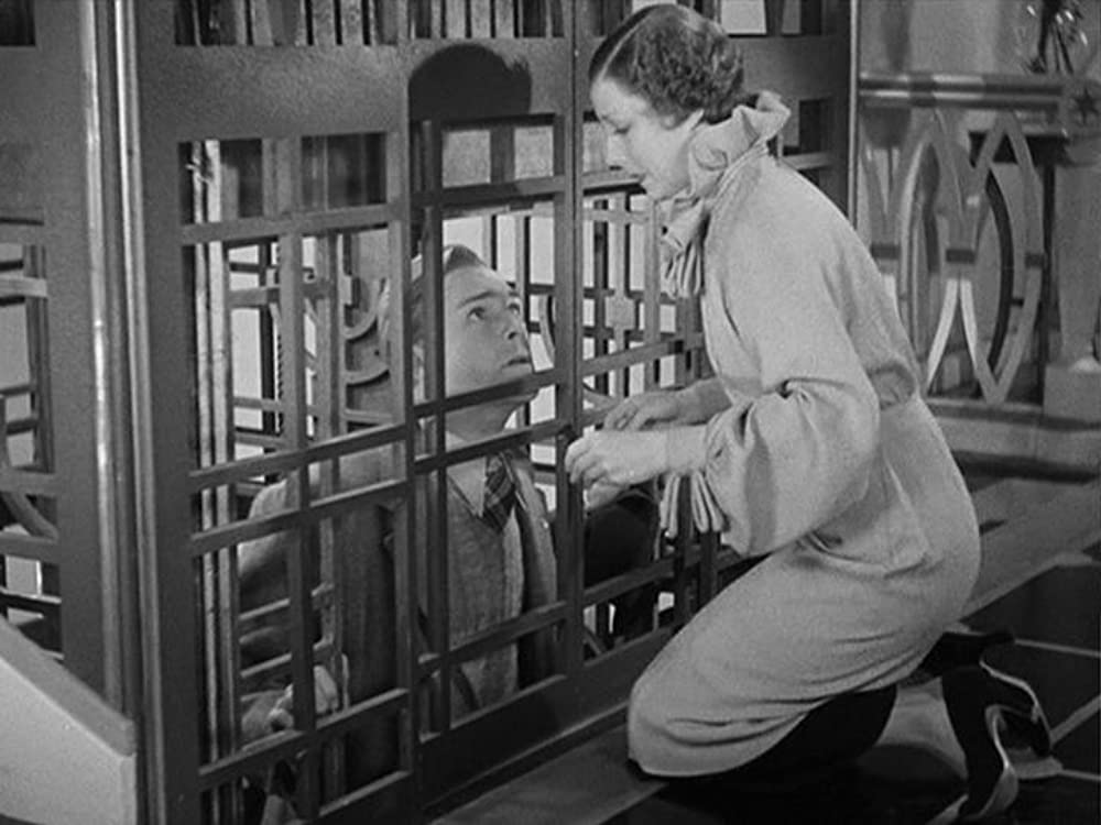 ロバータの画像