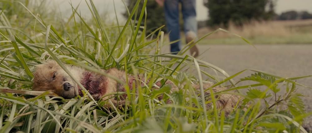 ヒッチハイク・キラーの画像