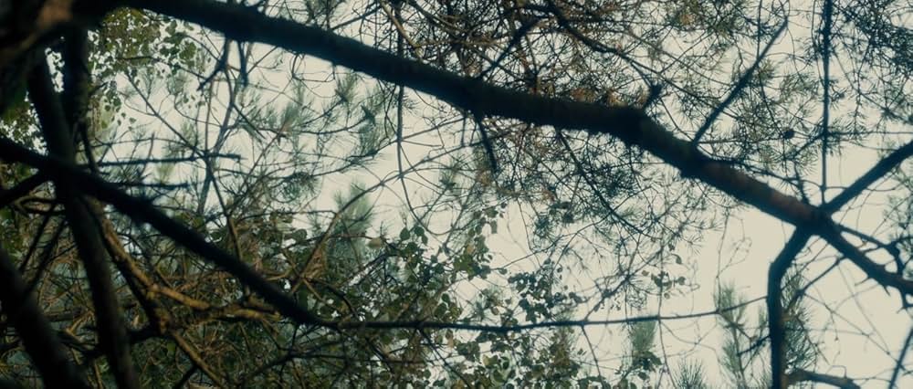 ヒッチハイク・キラーの画像